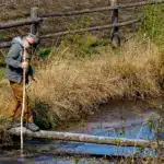 На Рівненщині відновлюють болота: проєкт “Дике Полісся” повертає природний баланс на 20 000 гектарах
