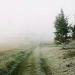 Прогноз погоди для Рівненщини на 16 жовтня. Без опадів, вночі та вранці сильний туман і заморозки