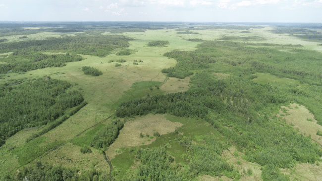 Вараш підписав Меморандум про співпрацю з Рівненським природним заповідником