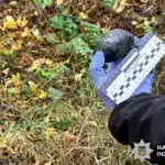 У Сарнах затримали наркодилера-рецидивіста з 50 грамами психотропів