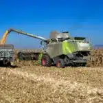 На Рівненщині розпочали збирання кукурудзи