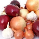 Біла, жовта та фіолетова цибуля разом із часником — порівняння корисних властивостей