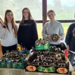 Пластунки у Рівному виготовляють окопні свічки в рамках акції "Поділись теплом".