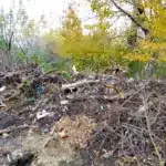 Демидівська селищна рада має ліквідувати стихійне сміттєзвалище Сміттєзвалище у Демидівці.