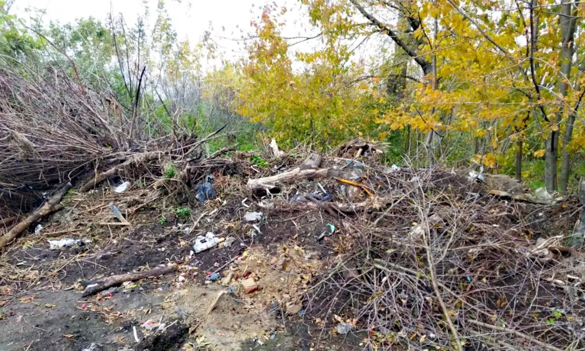 Демидівська селищна рада має ліквідувати стихійне сміттєзвалище Сміттєзвалище у Демидівці.