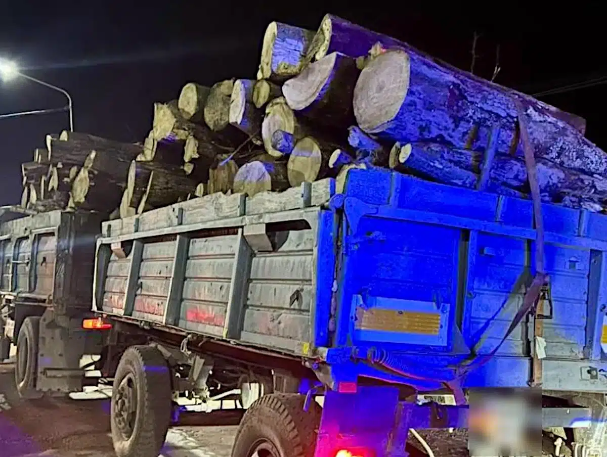 На Дубенщині водій перевозив деревину без документів та з порушенням безпеки Деревина без документів.