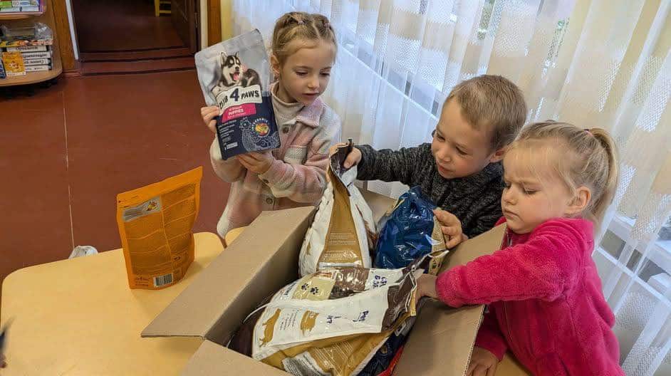 Діти з рівненського садочка допомогли безпритульним тваринам Діти збирають корм для безпритульних тварин