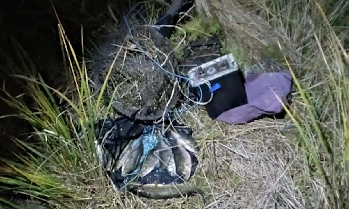 Рибоохоронний патруль виявив електровудочку й мертву рибу під час одного з рейдів.