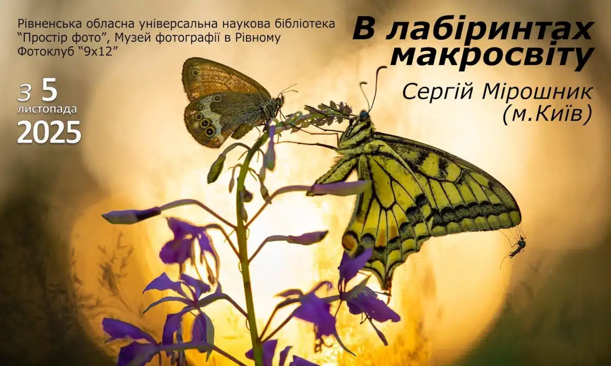 Фотовиставку Сергія Мірошника «В лабіринтах макросвіту» відкриють у Рівному Афіша фотовиставки «В лабіринтах макросвіту».