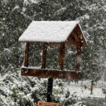 Годівнички для птахів