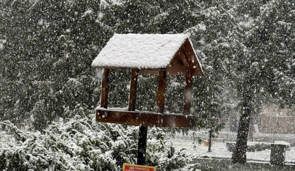 Годівнички для птахів