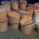 255 літрів капусти заквасили для передачі українським захисникам Чверть тони капусти заквасили у Гощі