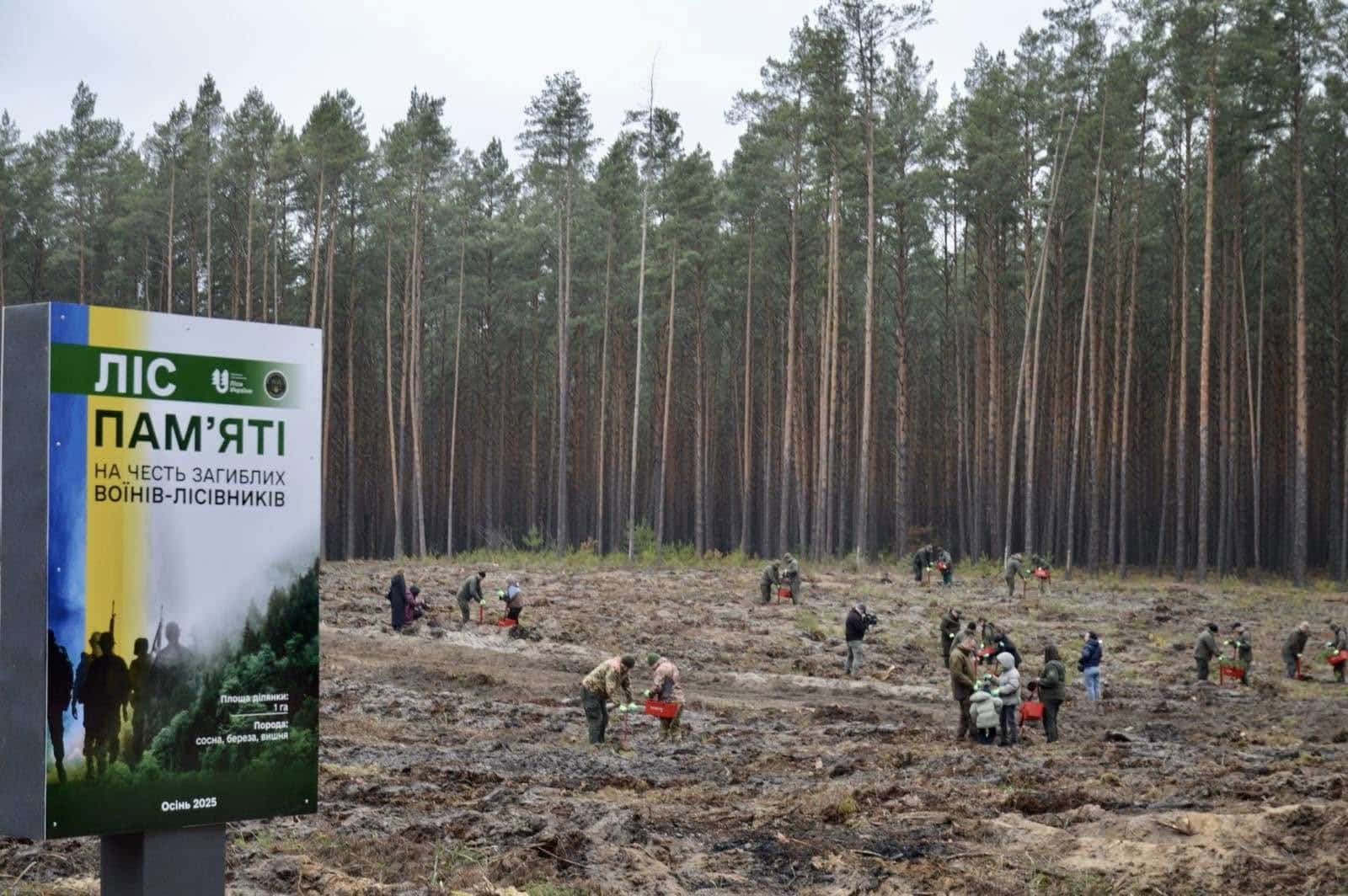 У Соснівській громаді висадили Ліс Пам’яті на честь загиблих воїнів-лісівників Висадження лісу пам'яті