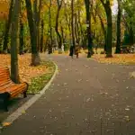 Прогноз погоди для Рівненщини на 29 листопада. Без істотних опадів, вночі та вранці слабкий туман