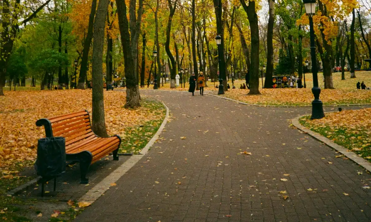 Прогноз погоди для Рівненщини на 29 листопада. Без істотних опадів, вночі та вранці слабкий туман