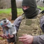 мавпочка на руках у військового