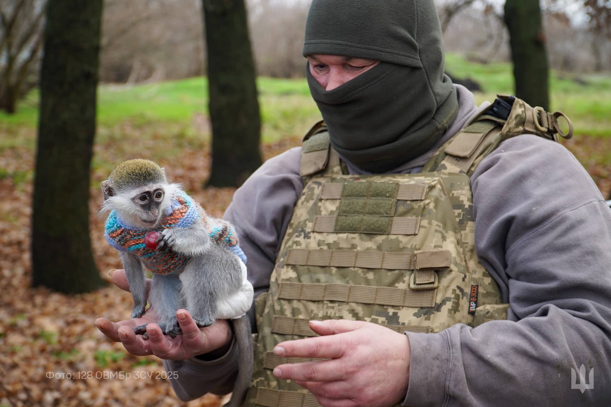 У 128 бригаді “Дике Поле” поруч з медиками служить “бойова” мавпочка мавпочка на руках у військового