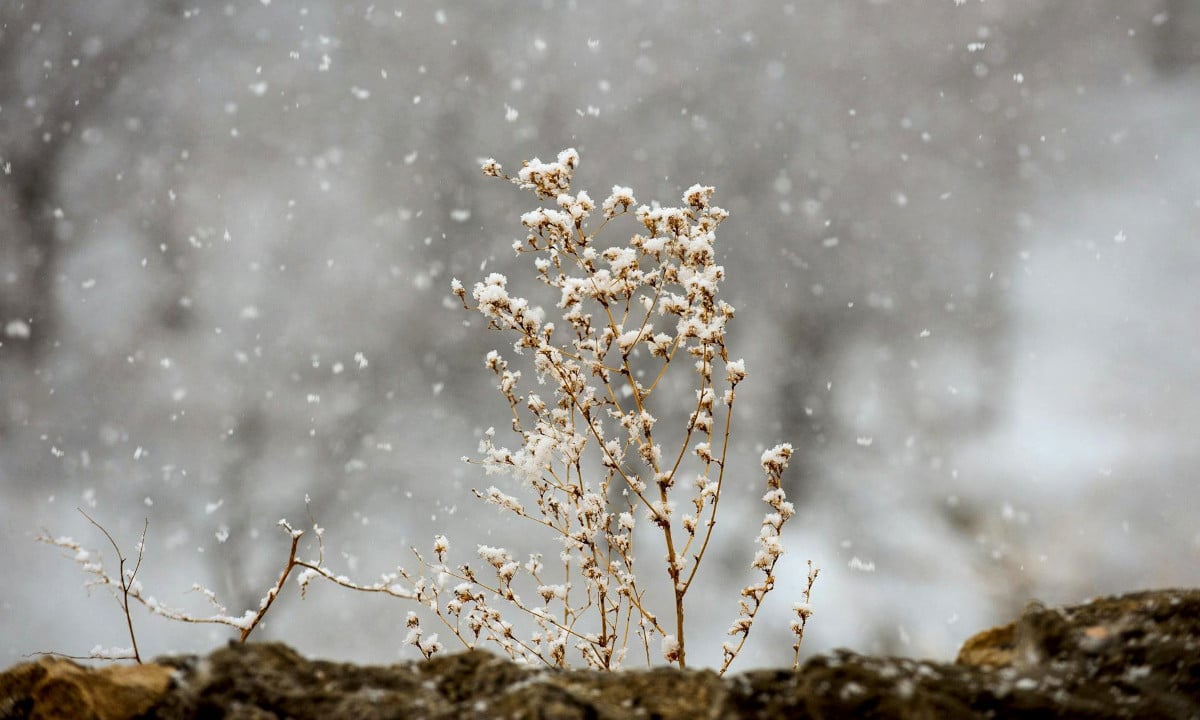Прогноз погоди для Рівненщини на 18 листопада. Дощ, місцями з мокрим снігом, сильні пориви вітру Прогноз погоди обіцяє дощ із мокрим снігом.
