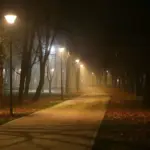 Прогноз погоди для Рівненщини на 12 листопада. Часом невеликий дощ, вночі та вранці слабкий туман