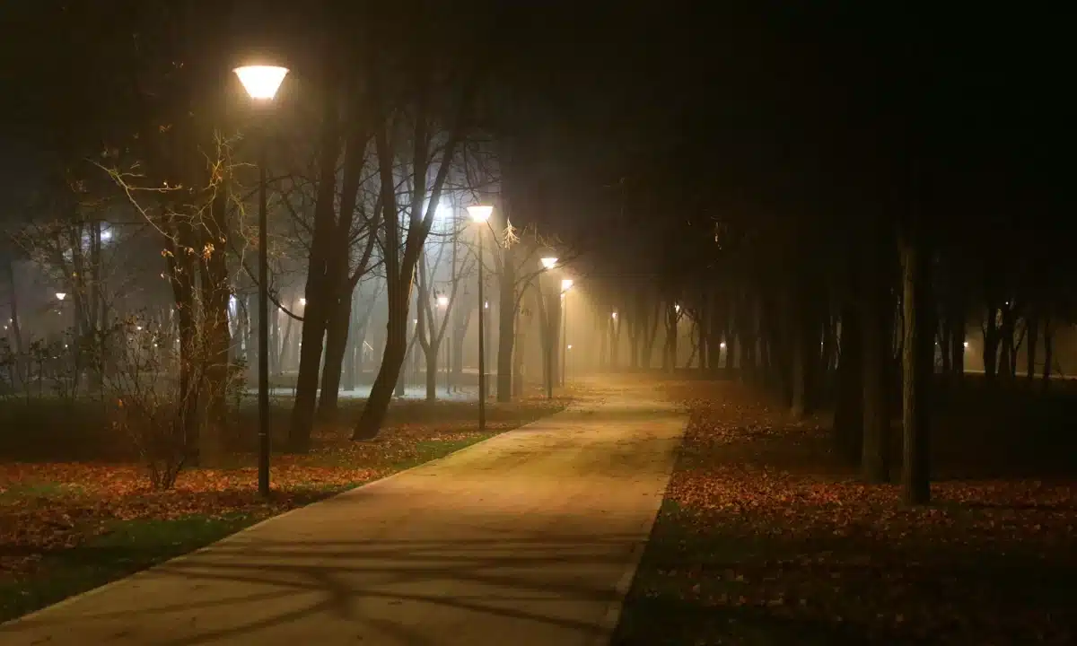 Прогноз погоди для Рівненщини на 12 листопада. Часом невеликий дощ, вночі та вранці слабкий туман