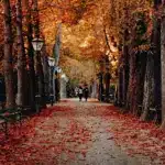 Прогноз погоди для Рівненщини на 3 листопада. Вдень місцями невеликий дощ