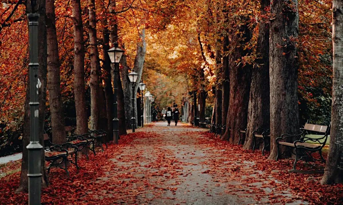 Прогноз погоди для Рівненщини на 3 листопада. Вдень місцями невеликий дощ Прогноз погоди для Рівненщини на 3 листопада. Вдень місцями невеликий дощ