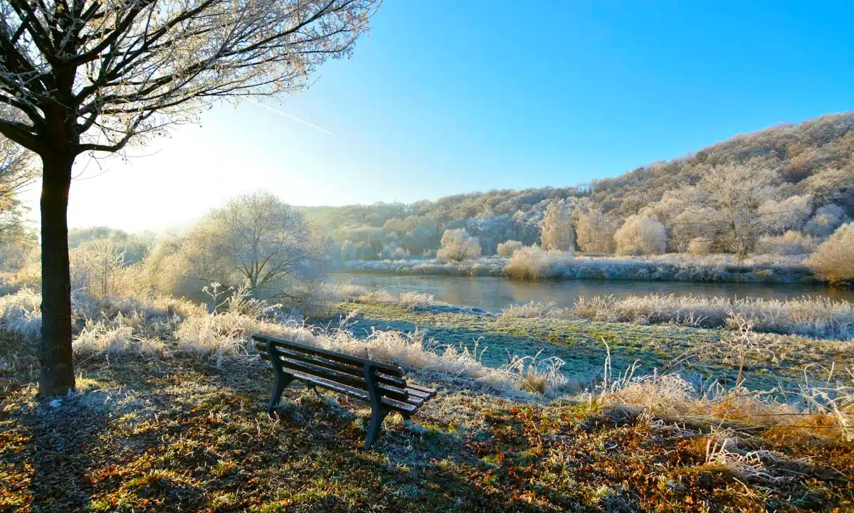 Прогноз погоди для Рівненщини на 27 листопада. Без істотних опадів, вночі та вранці слабкий туман Осінній ранок на річці.