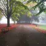 Прогноз погоди для Рівненщини на 8 листопада. Без істотних опадів, вночі та вранці слабкий туман Прогноз погоди обіцяє слабкий туман вночі і вранці, як у цьому затишному парку.