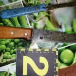 Зловмисник поранив ножем батька. Речові докази.