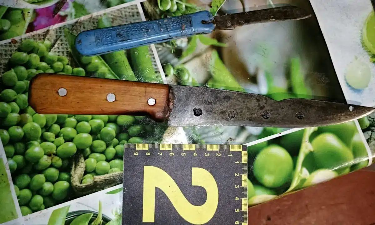 Зловмисник поранив ножем батька. Речові докази.