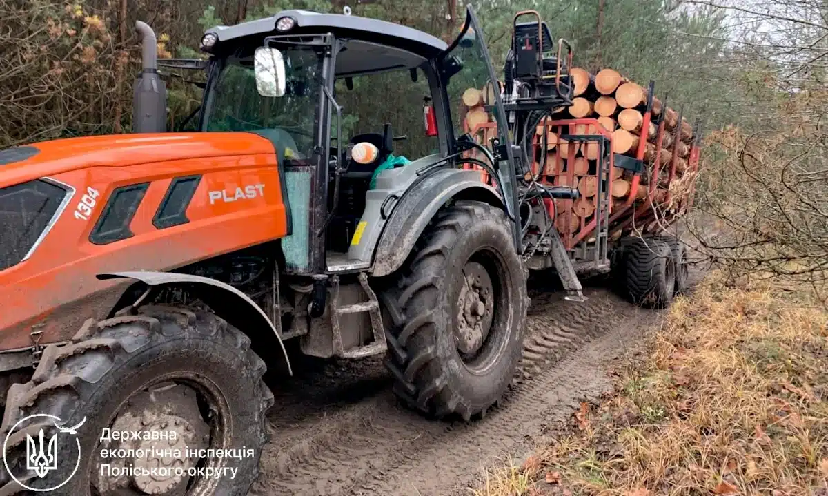 Порушення під час транспортування лісопродукції виявили у Рафалівській громаді Незаконне перевезення деревини.