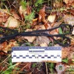 Хлопець покінчив життя самогубством на Сарненщині.