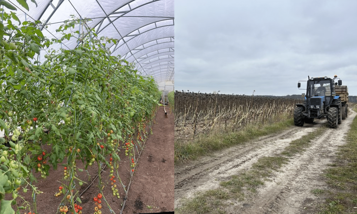 Херсонське агропідприємство на Рівненщині.