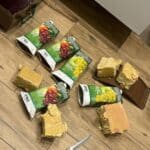 викрито мережу для підготовки терактів.