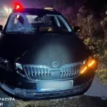 За смертельну ДТП у селі Нова Українка судитимуть водія Авто, на якому скоїли смертельну ДТП в Новій Українці.