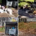Стихійні сміттєзвалища неподалік вулиці Вербова у Рівному.