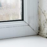 Як позбутися чорної плісняви на вікнах: дієвий засіб із двох простих інгредієнтів Як позбавитись плісняви на вікнах.