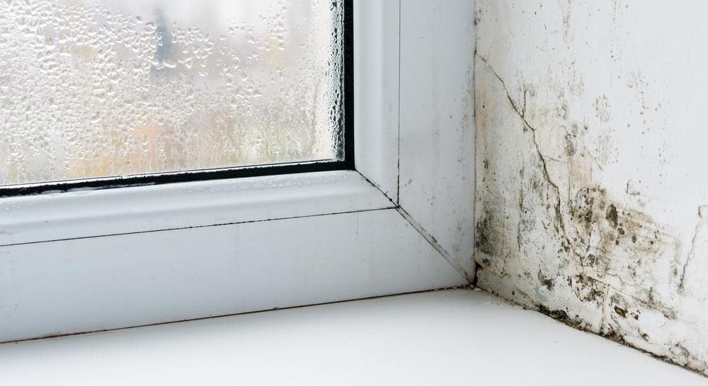 Як позбавитись плісняви на вікнах.