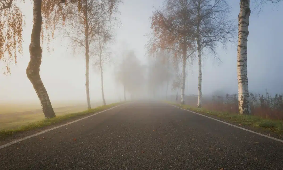 Прогноз погоди для Рівненщини на 5 листопада. Вночі невеликий дощ, сильний туман Прогноз погоди для Рівненщини на 5 листопада. Вночі невеликий дощ, сильний туман