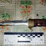 Житель Острожчини проведе понад п’ять років за ґратами за нанесення тяжких тілесних ушкоджень односельцю