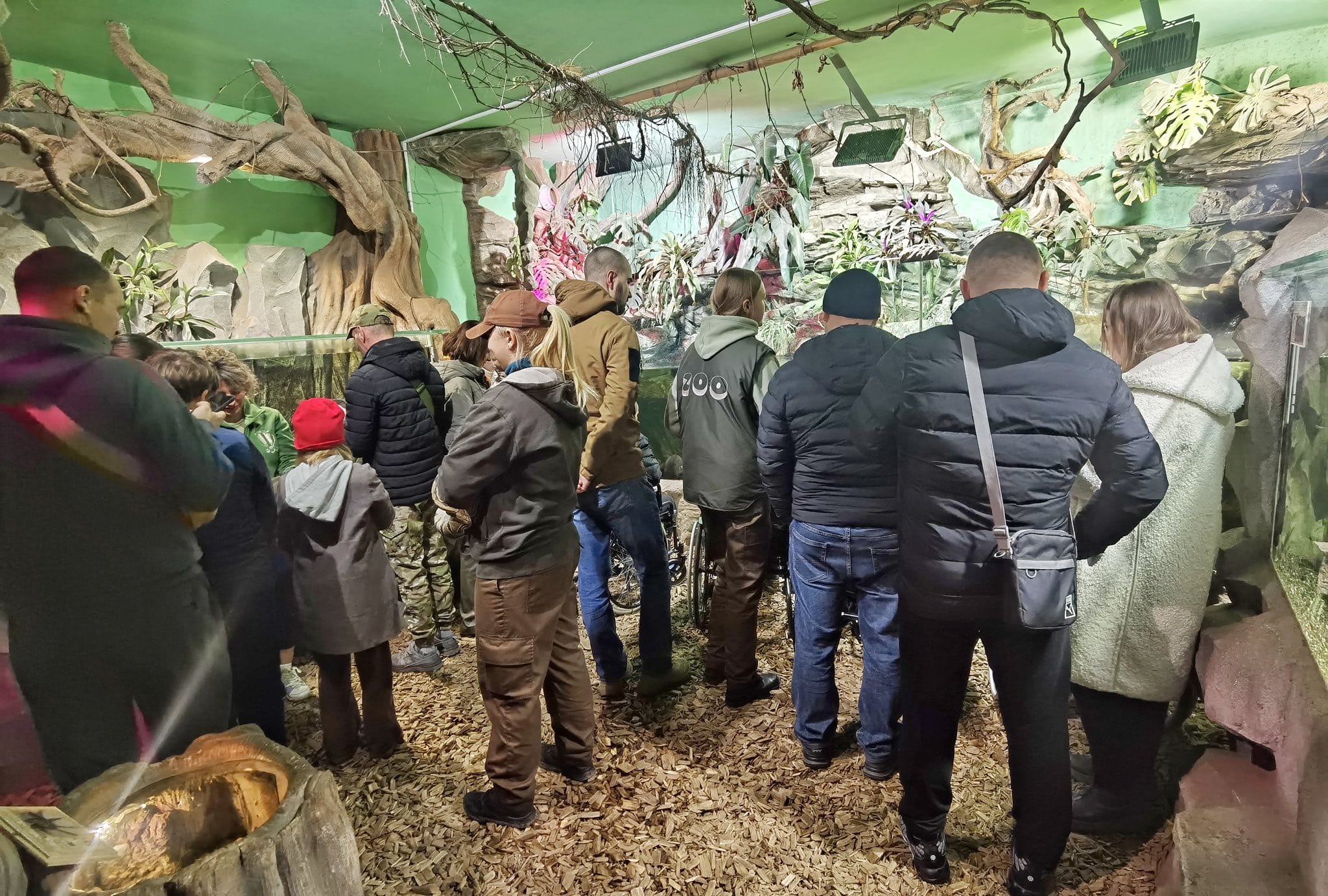 Військові на реабілітації відвідали Рівненський зоопарк Захисники роздивляються тварин в зоопарку