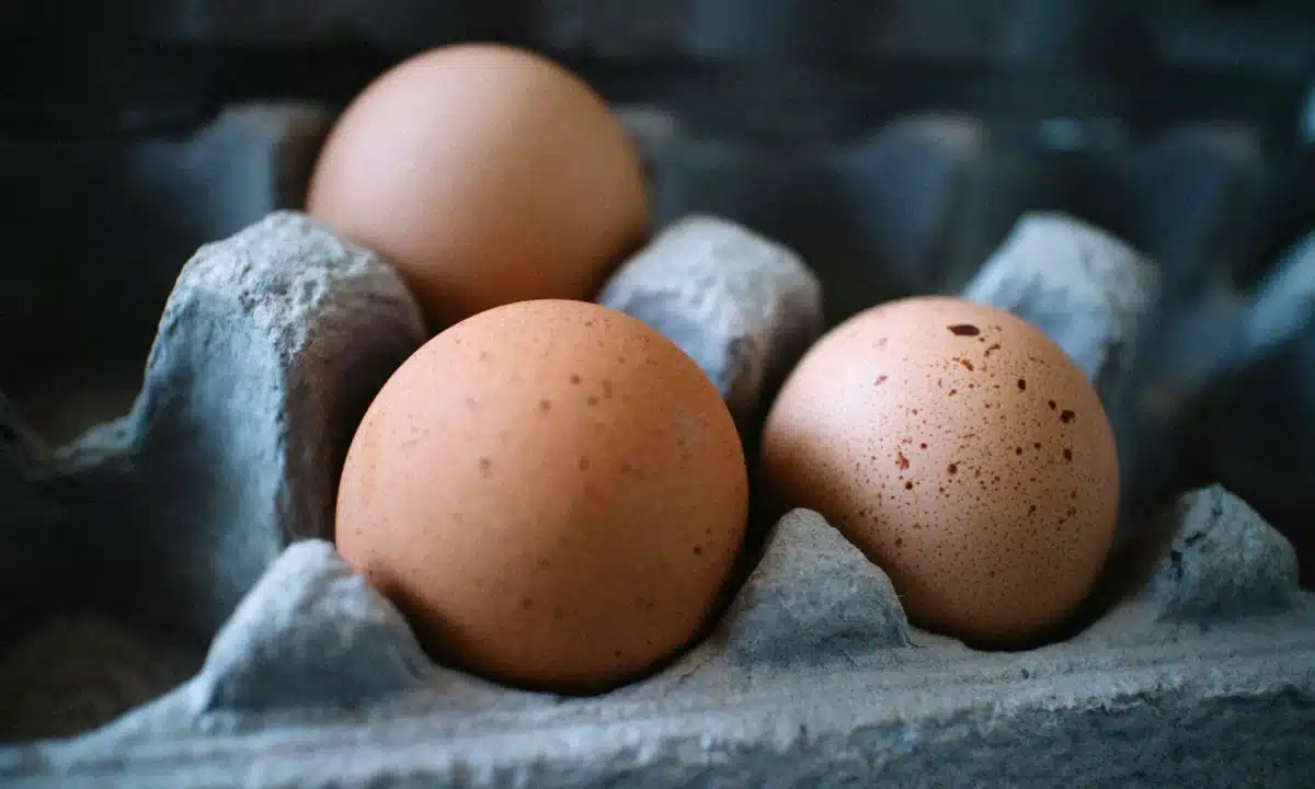 Українські яйця тимчасово заборонили до експорту в ЄС через небезпечний хімікат Яйця.