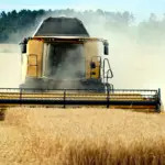 Комбайн збирає зерно в полі.