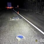 Збили пішохода в Млинові.