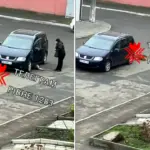 Збиття собаки.