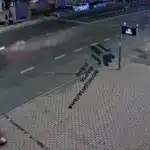 Момент збиття собаки автом.