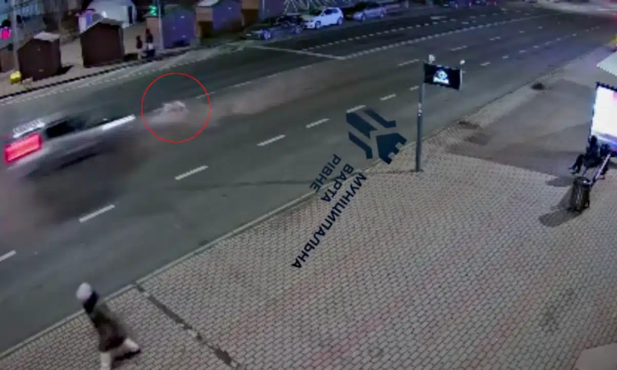 Момент збиття собаки автом.