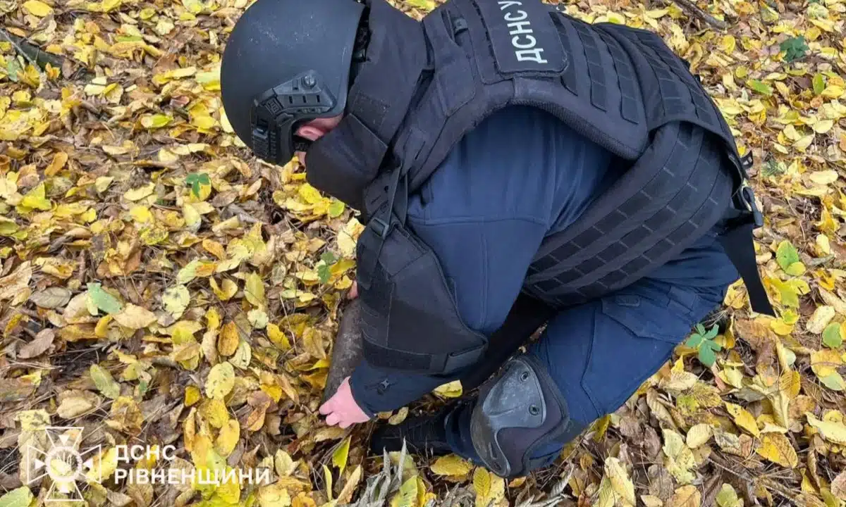 Піротехнік ДСНС працює зі знайденим боєприпасом біля села Ходоси.