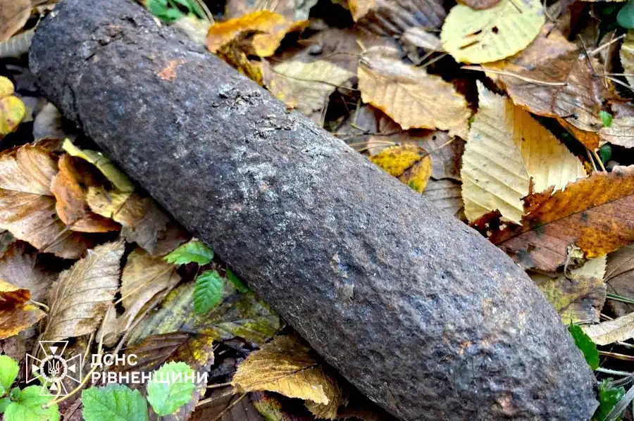 Знайдений боєприпас біля села Ходоси.
