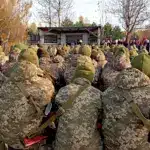 Творчі зустрічі з військовими ЗСУ аматорів із Зорі.